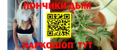 крисы Кунгур