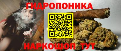 крисы Кунгур