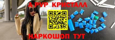 крисы Кунгур